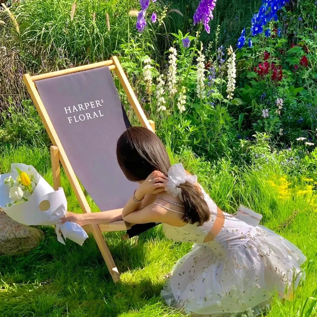 我在岛屿读书第二季